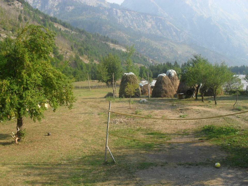 Valbona Eco Camping Ξενοδοχείο Εξωτερικό φωτογραφία