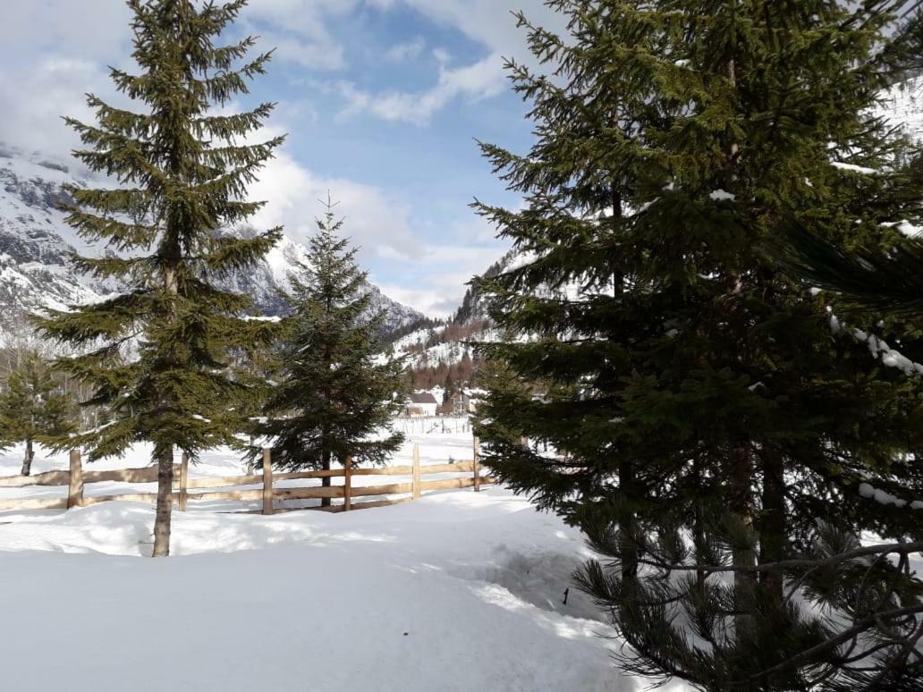 Valbona Eco Camping Ξενοδοχείο Εξωτερικό φωτογραφία